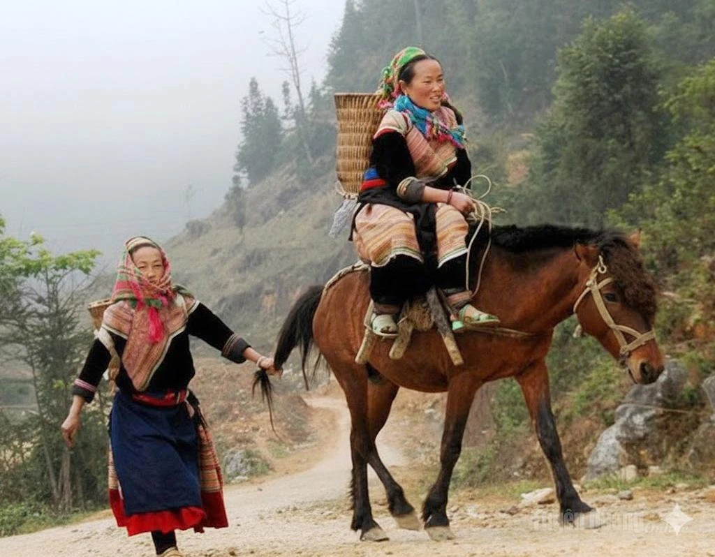 Dấu chân ngựa và hành trình gọi bản sắc - Hình 2