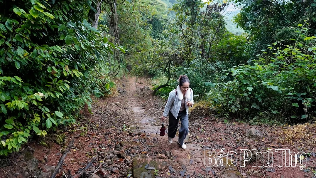 Động Tiên Phi: Viên ngọc quý ẩn mình trên đỉnh Thung Phi - Hình 2