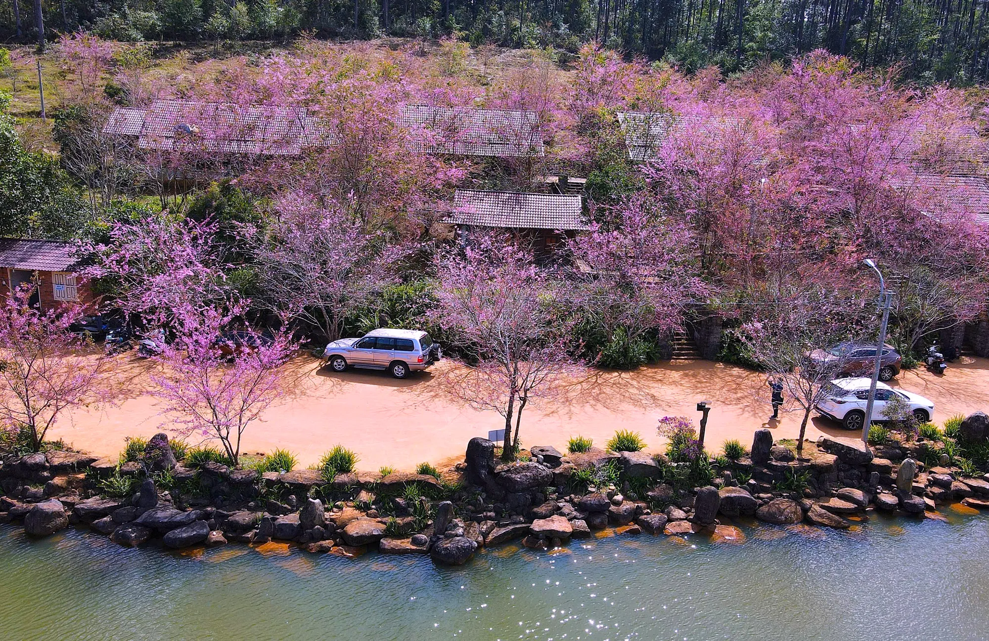 Măng Đen - Cao nguyên yên bình giữa đại ngàn - Hình 10