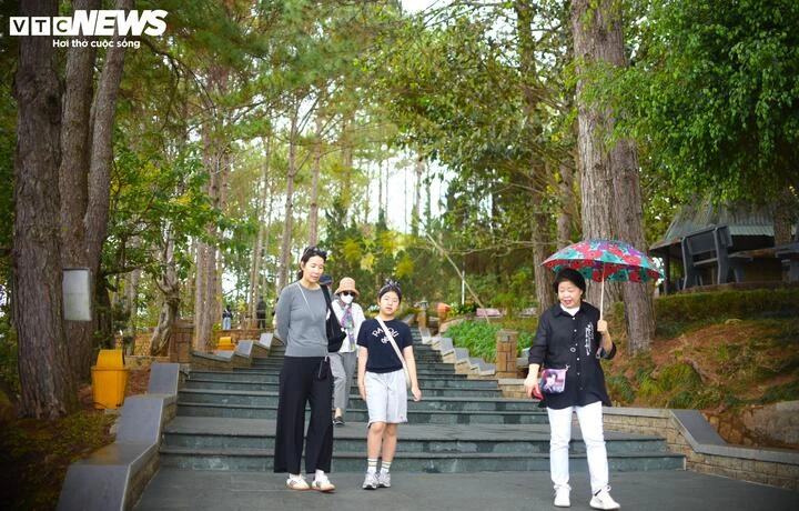 Vẻ đẹp tựa tranh vẽ của Thiền viện Trúc Lâm bên hồ Tuyền Lâm thơ mộng - Hình 8