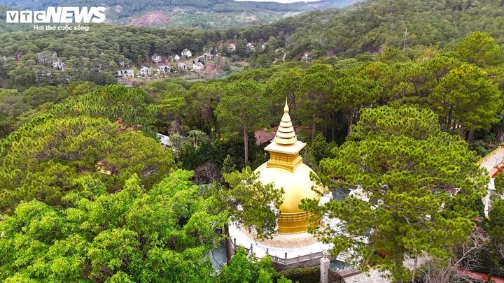 Vẻ đẹp tựa tranh vẽ của Thiền viện Trúc Lâm bên hồ Tuyền Lâm thơ mộng - Hình 6