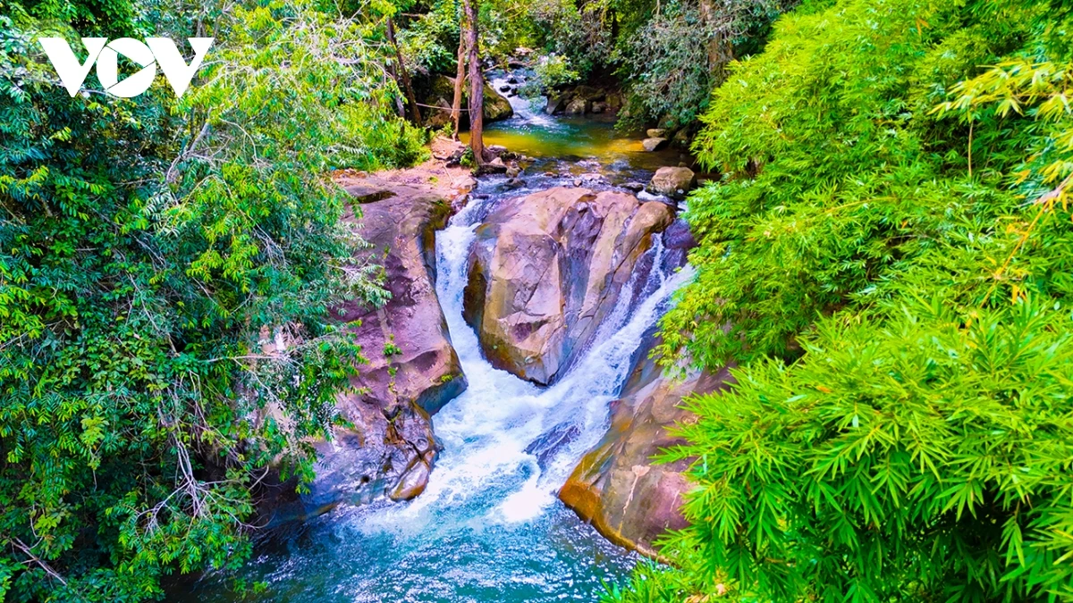 Ngẩn ngơ trước vẻ đẹp của Tà Đùng, điểm đến phải ghé một lần trong đời - Hình 15