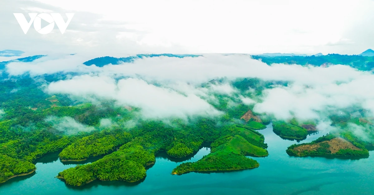 Ngẩn ngơ trước vẻ đẹp của Tà Đùng, điểm đến phải ghé một lần trong đời - Hình 10