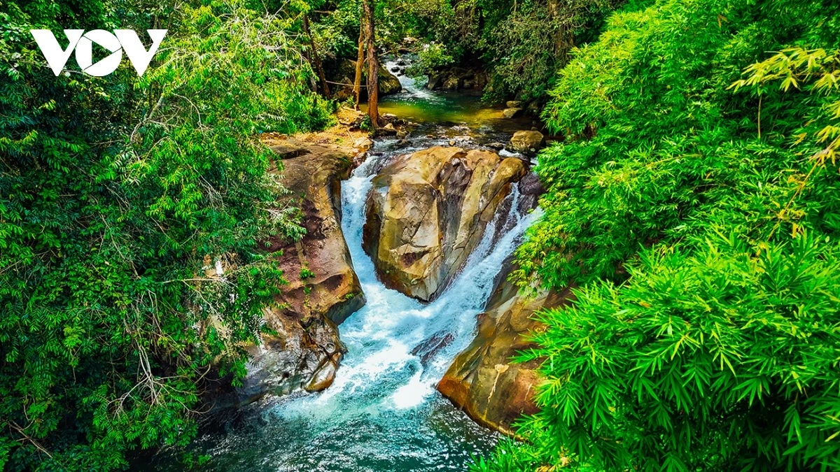 Ngẩn ngơ trước vẻ đẹp của Tà Đùng, điểm đến phải ghé một lần trong đời - Hình 17