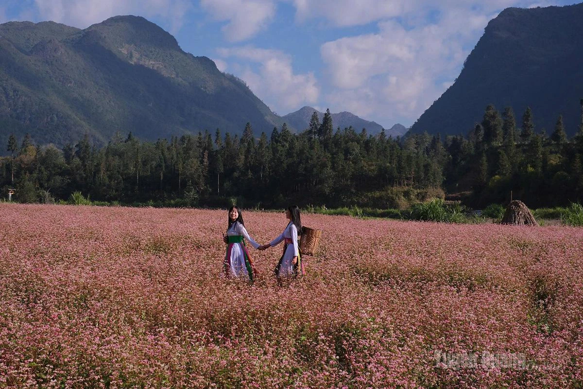 Sắc xuân trên Cao nguyên đá - Hình 2