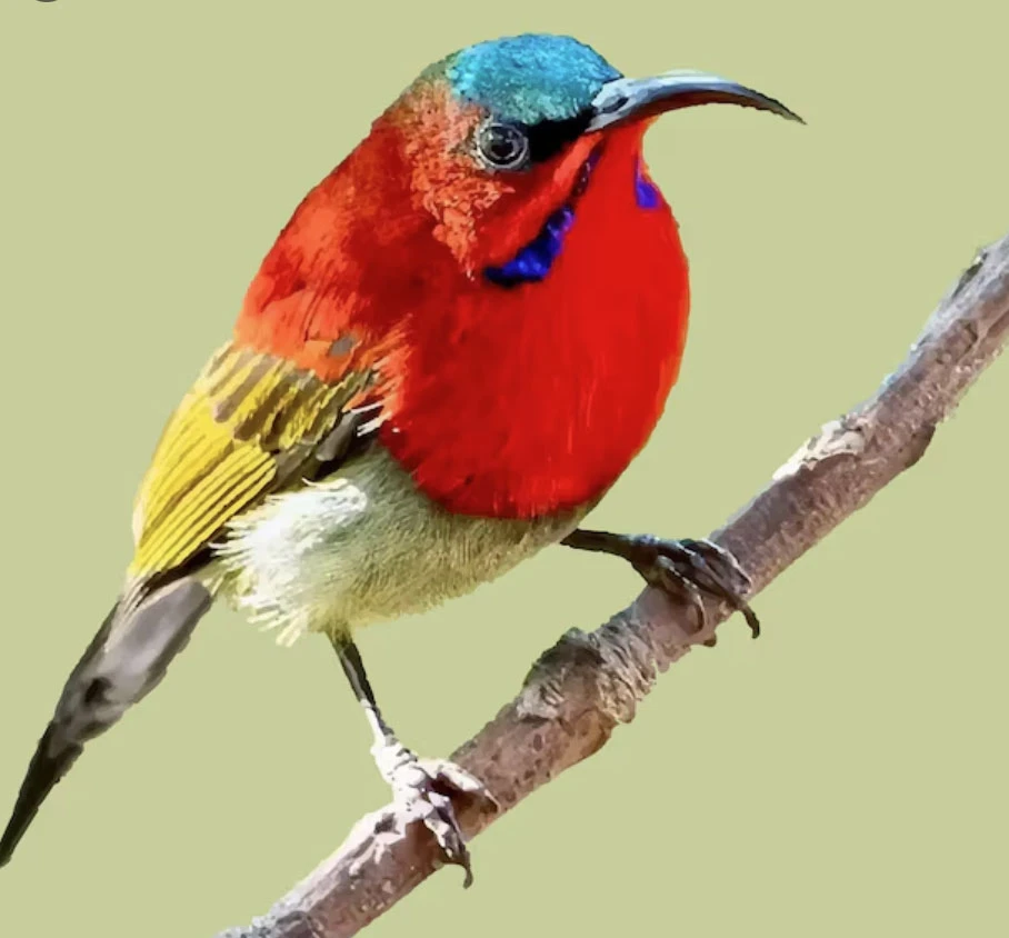 Tháng sinh Âm lịch tiết lộ người có số vượng trung niên: Sau 35 tuổi bước vào thời hoàng kim - Hình 2