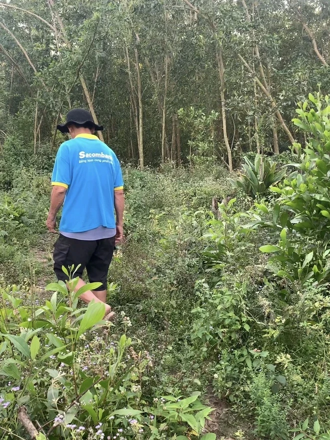 Xót xa người đàn ông 21 năm đều đặn viếng mộ mối tình đầu, gặp hiện tượng lạ - Hình 3