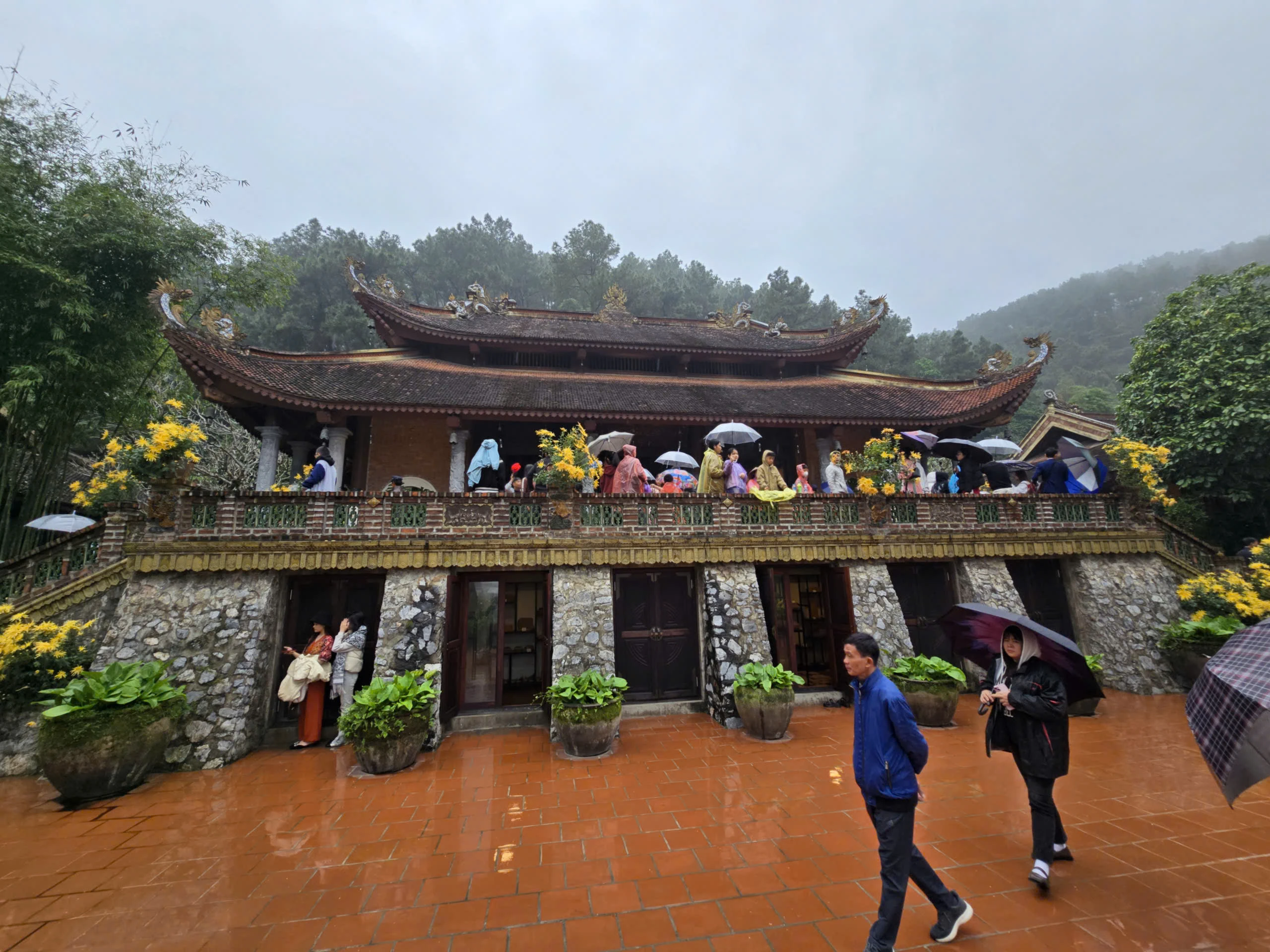 Khách thập phương đội mưa xuân vãn cảnh chùa Địa Tạng Phi Lai - Hình 2