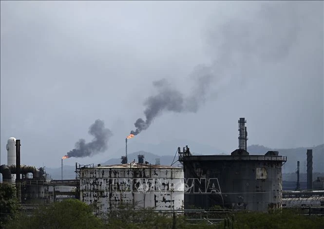 Đại sứ Mỹ tại New Delhi: Mỹ muốn Ấn Độ mua dầu Venezuela - Hình 1