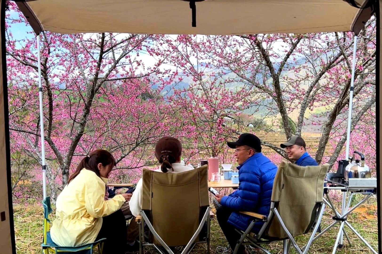 Chiêm ngưỡng sắc đào mùa Xuân trên đỉnh Lùng Cúng - Hình 7