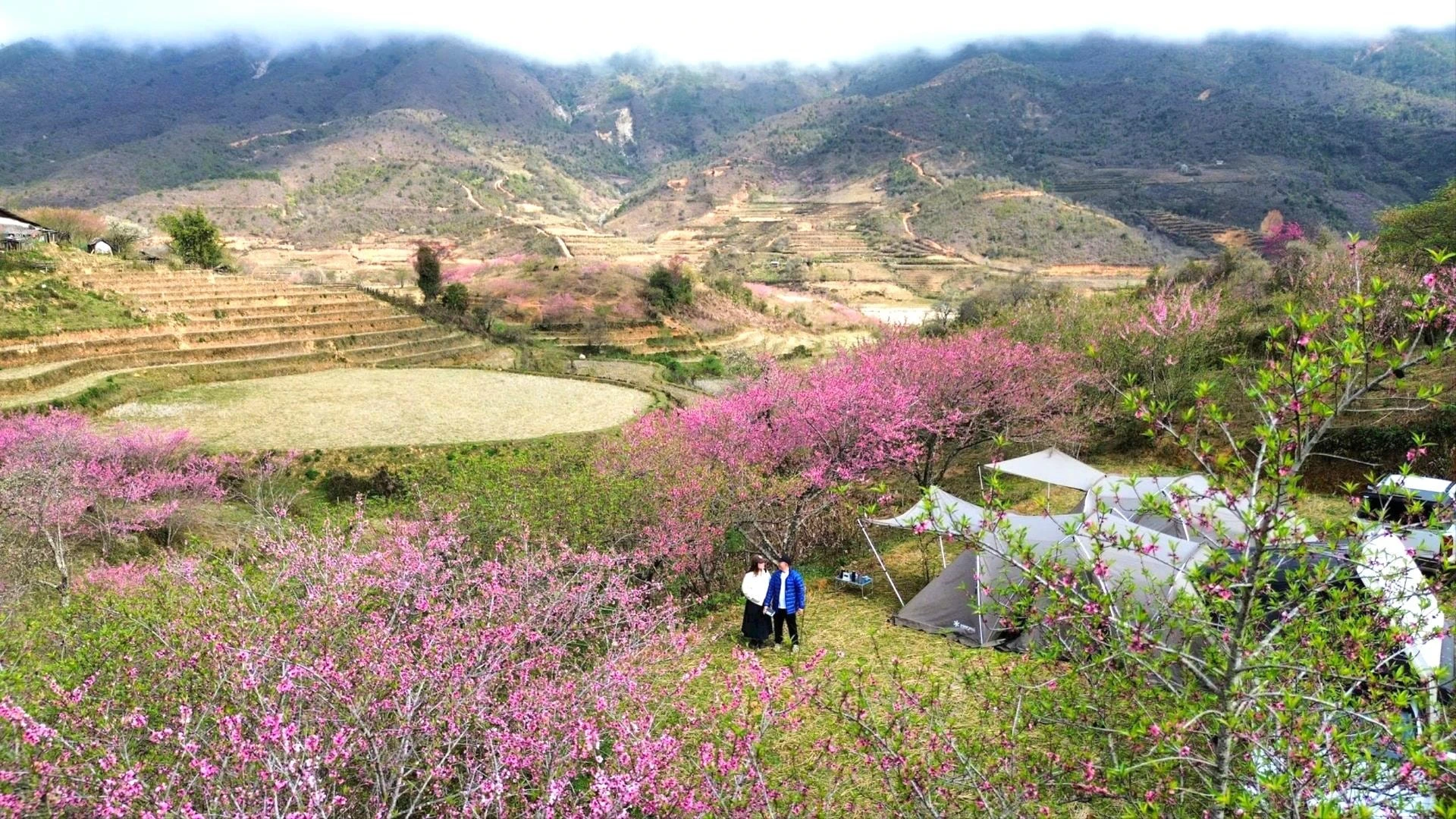 Chiêm ngưỡng sắc đào mùa Xuân trên đỉnh Lùng Cúng - Hình 6