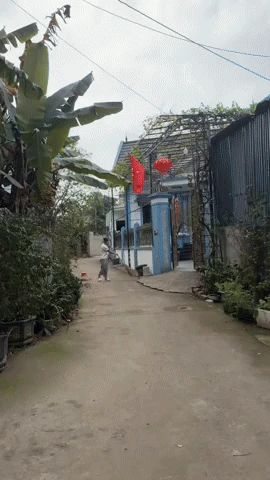 Hiếm khi thấy Quang Hải xắn quần cầm chổi quét cổng nhà bố vợ, Chu Thanh Huyền thân tàn ma dại sau tết - Hình 1