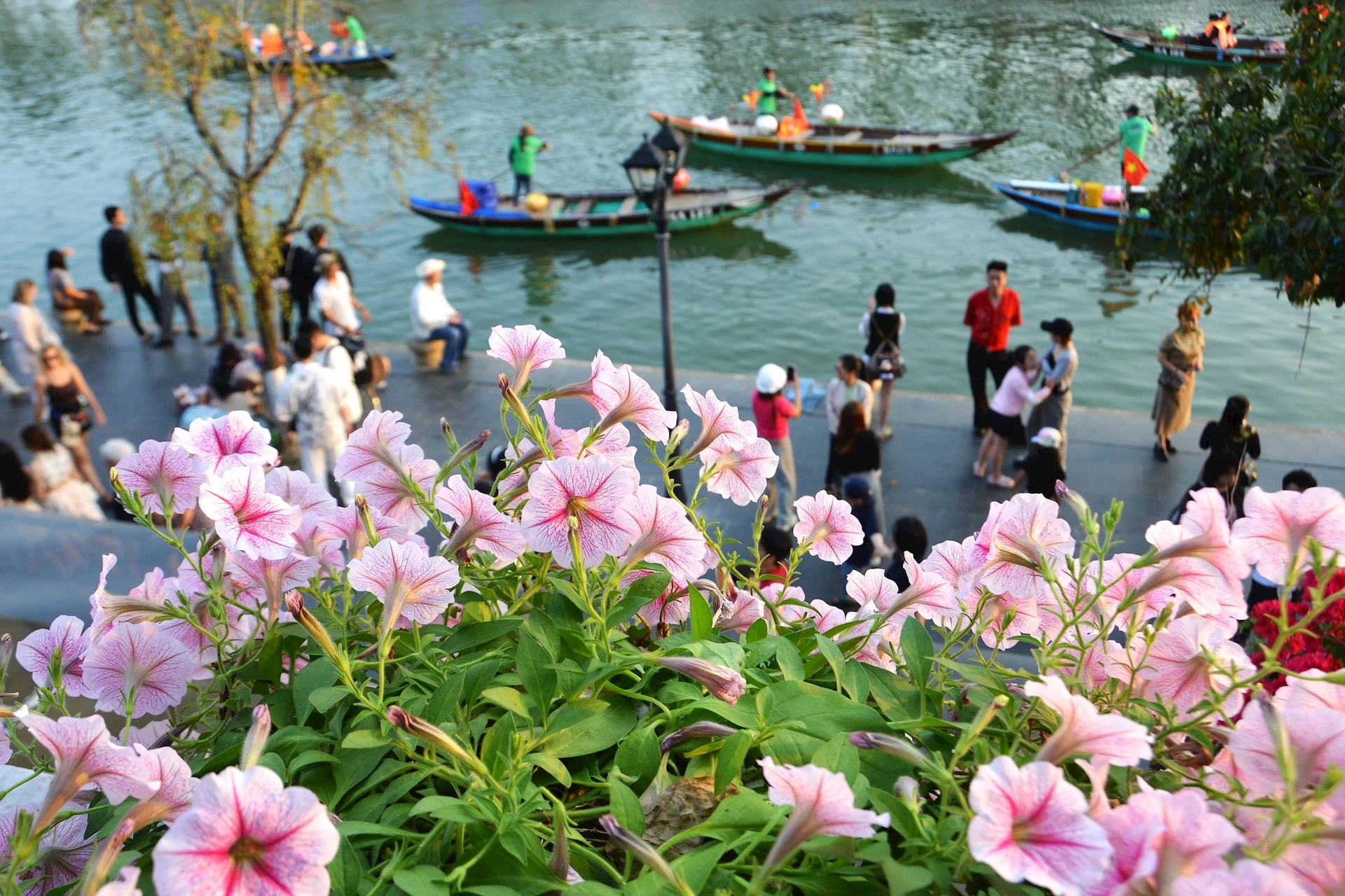 Một ngày bình yên ở Hội An đầu năm mới Bính Ngọ - Hình 5