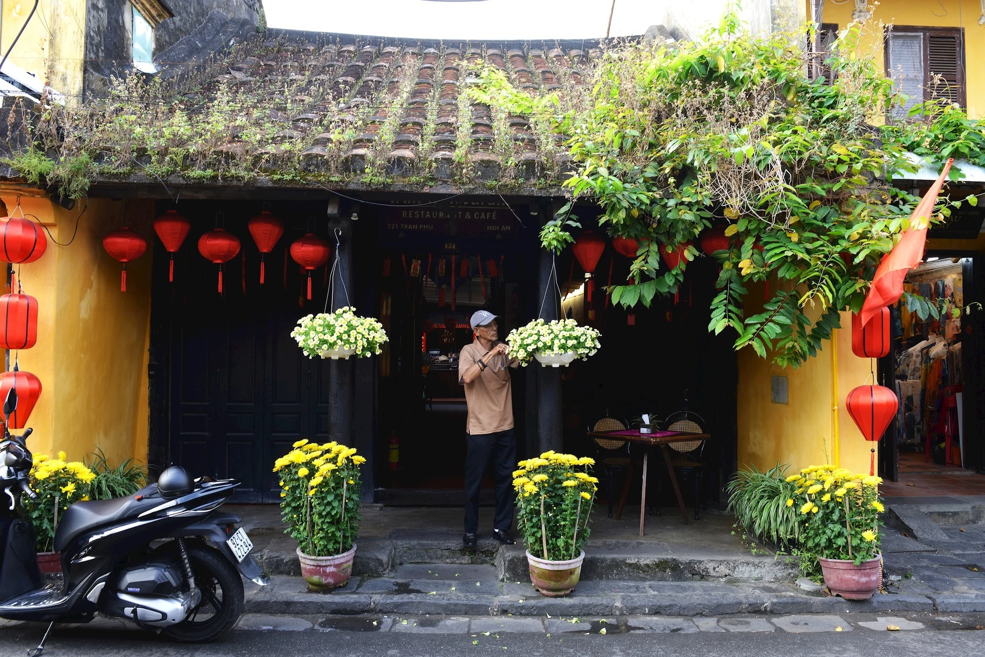 Một ngày bình yên ở Hội An đầu năm mới Bính Ngọ - Hình 3