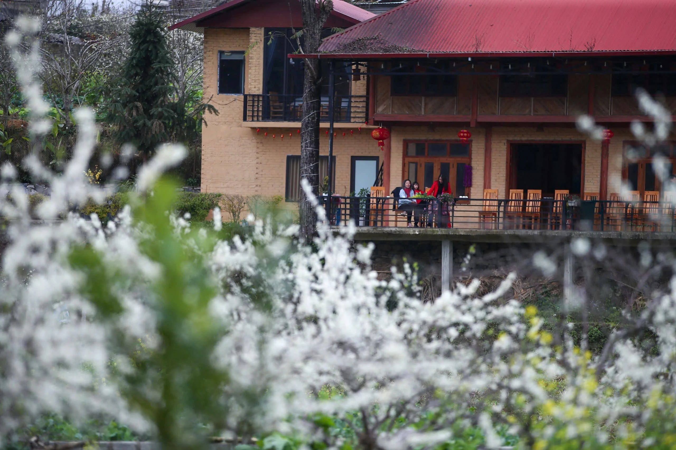 Lạc lối trong sắc hoa mận của cao nguyên Bắc Hà - Hình 7