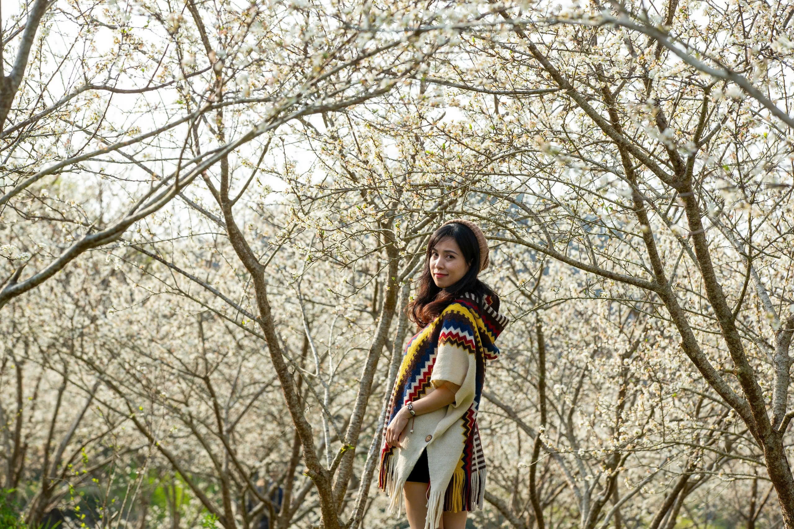 Lạc lối trong sắc hoa mận của cao nguyên Bắc Hà - Hình 9