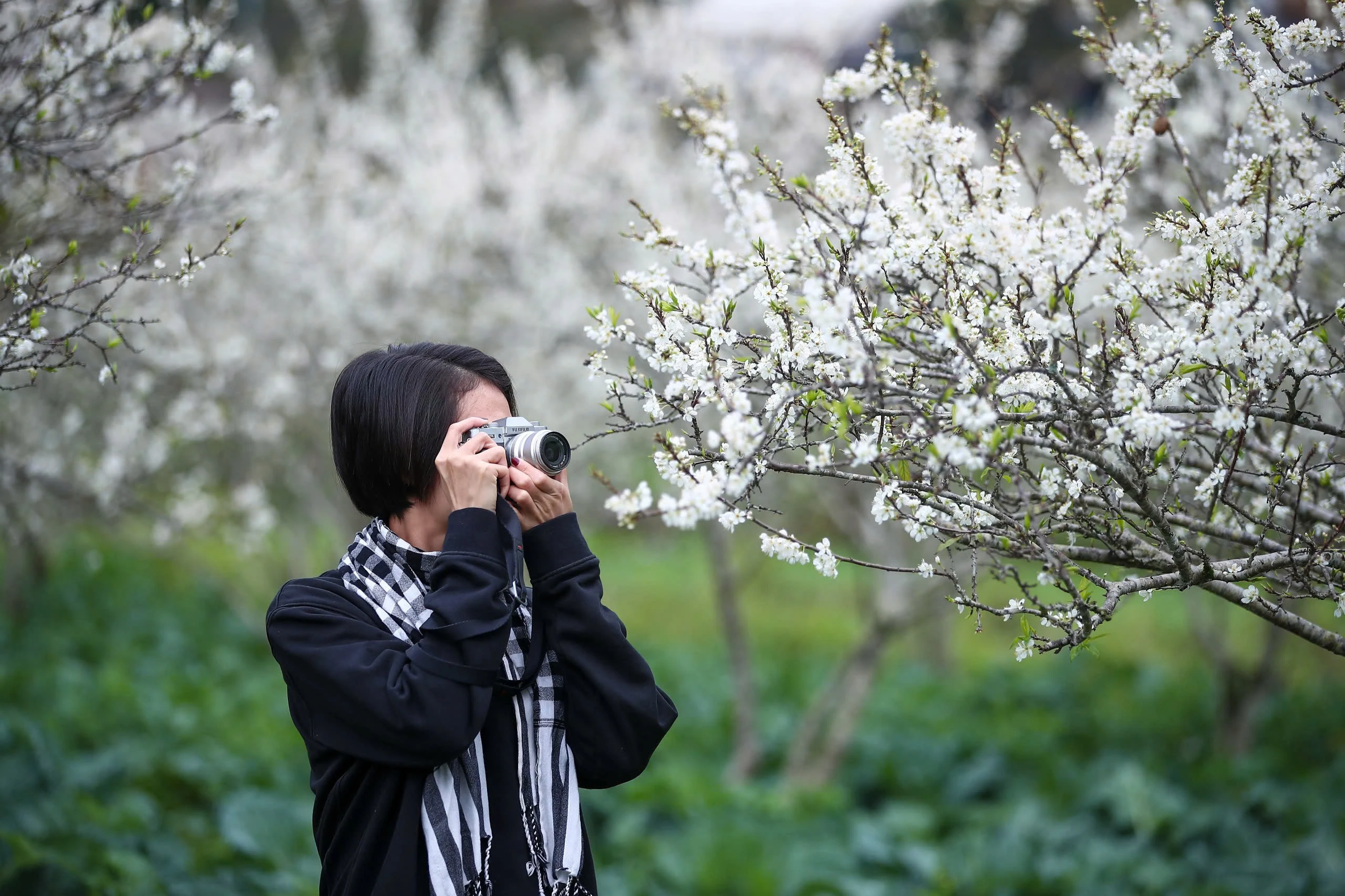 Lạc lối trong sắc hoa mận của cao nguyên Bắc Hà - Hình 10