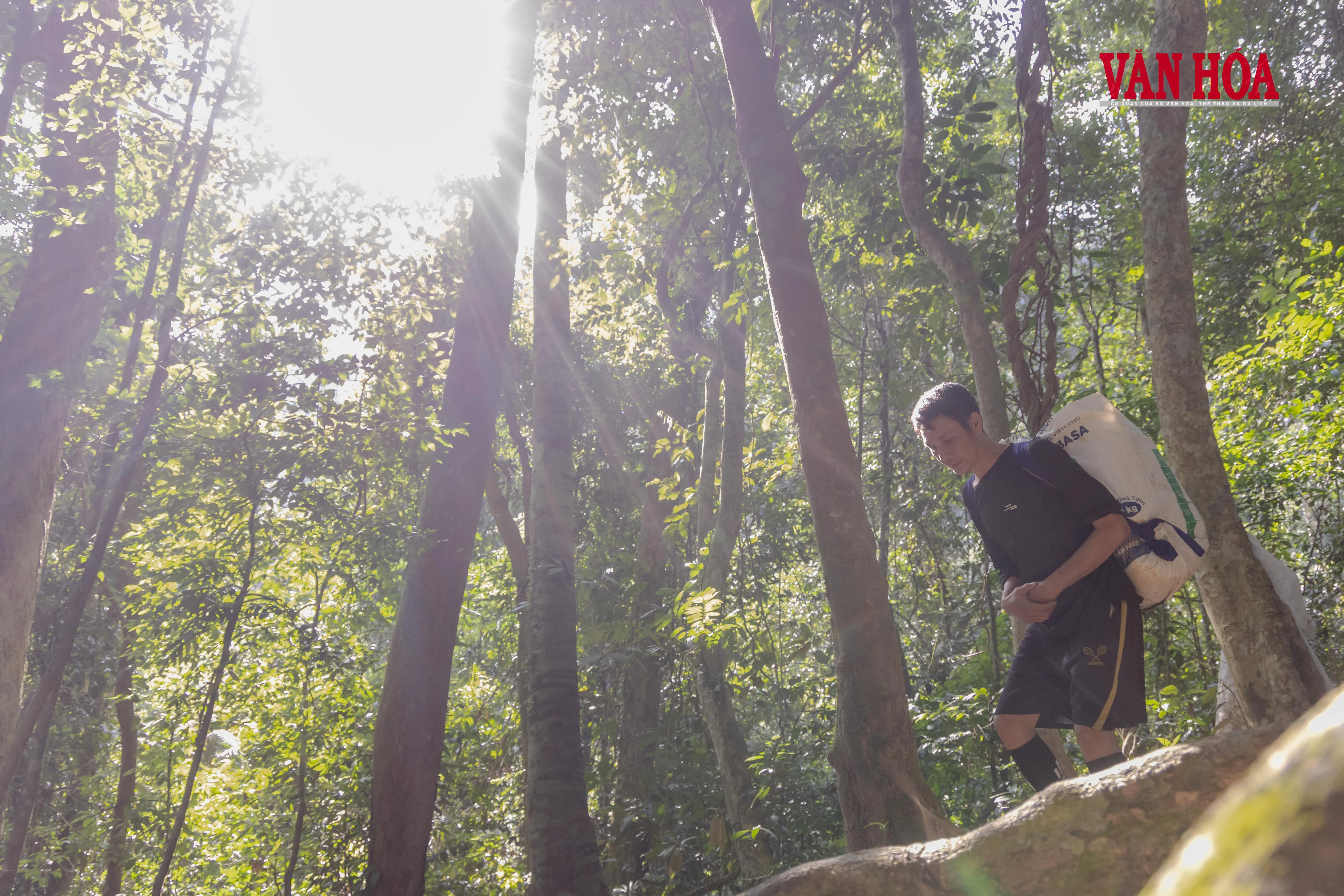 Mùa xuân mới ở bản Đoòng - Hình 3