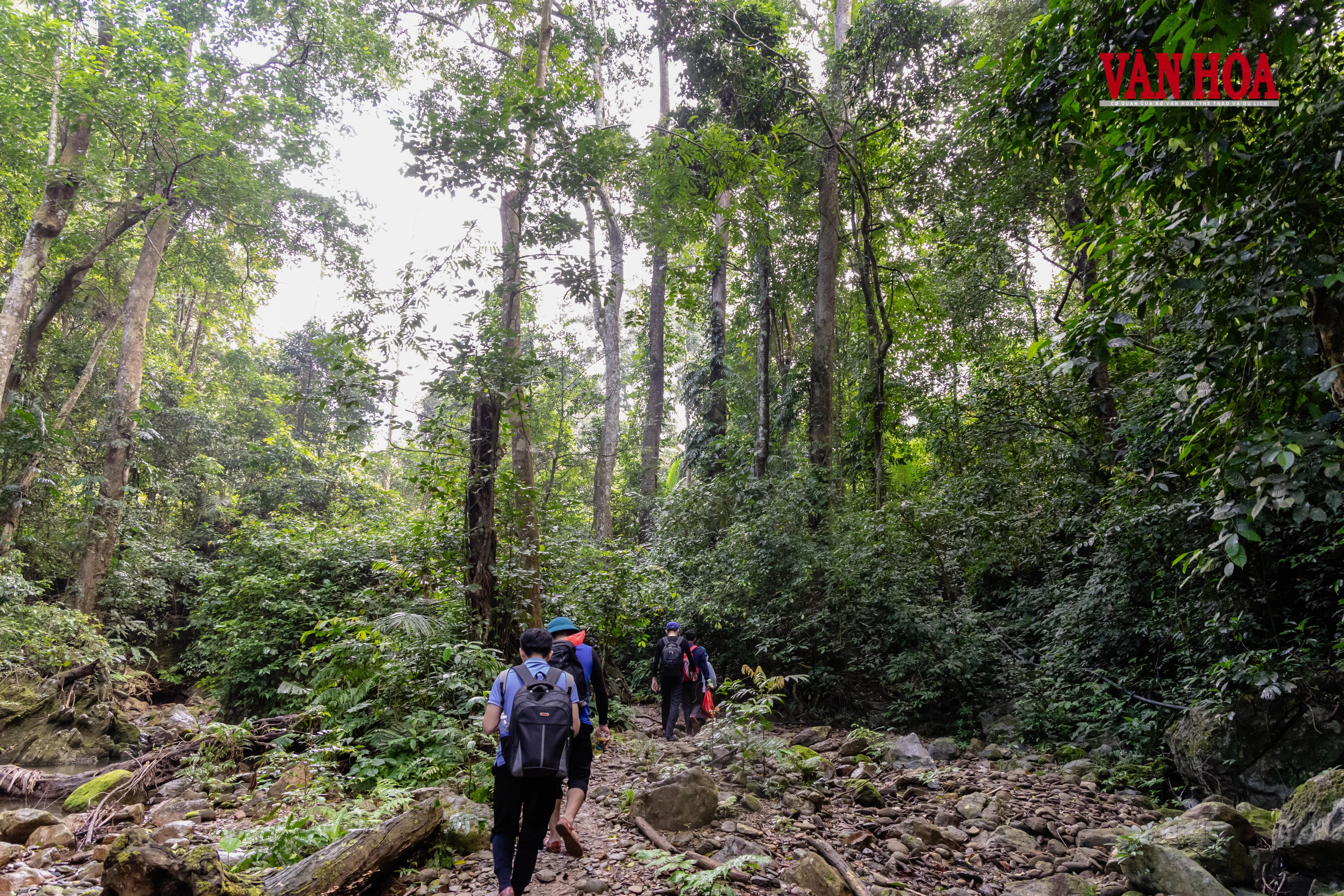Mùa xuân mới ở bản Đoòng - Hình 2