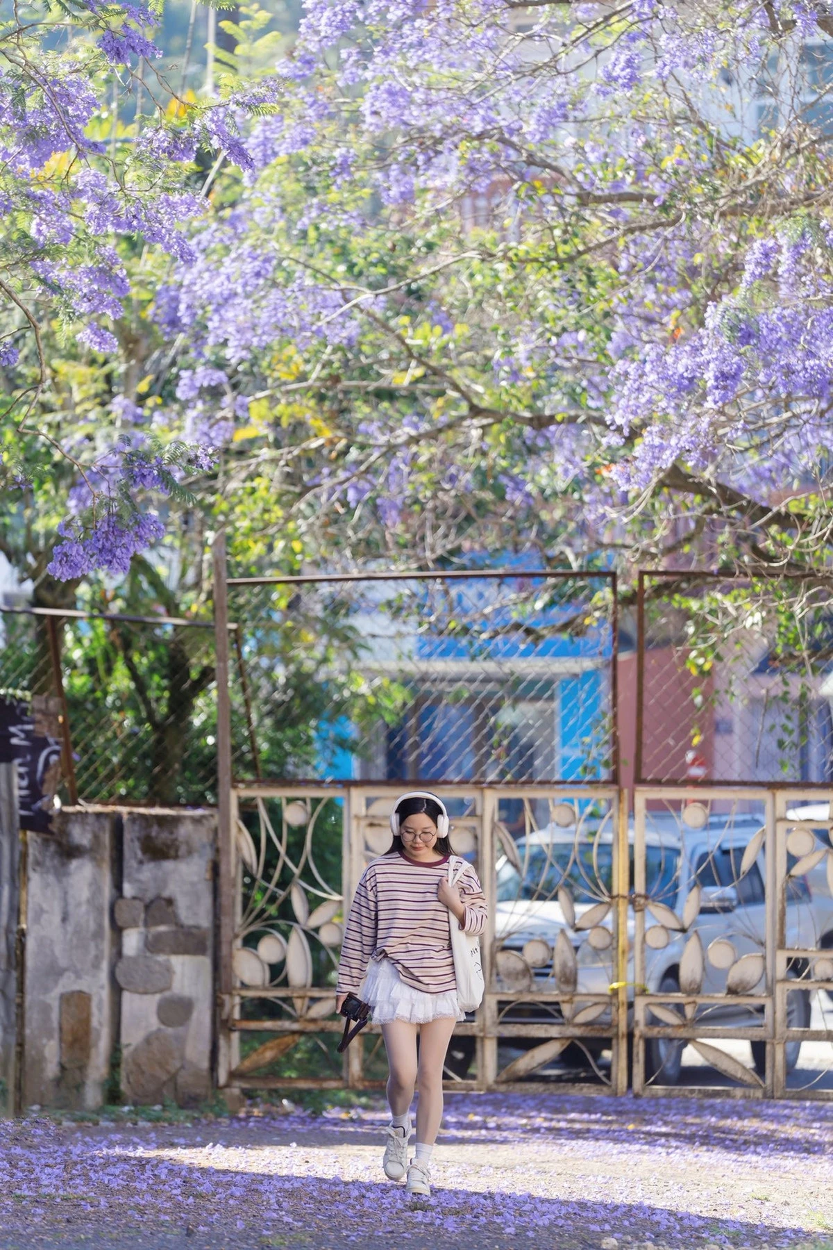 Đà Lạt khoác áo tím, du khách rủ nhau săn mùa hoa lãng mạn nhất năm - Hình 7