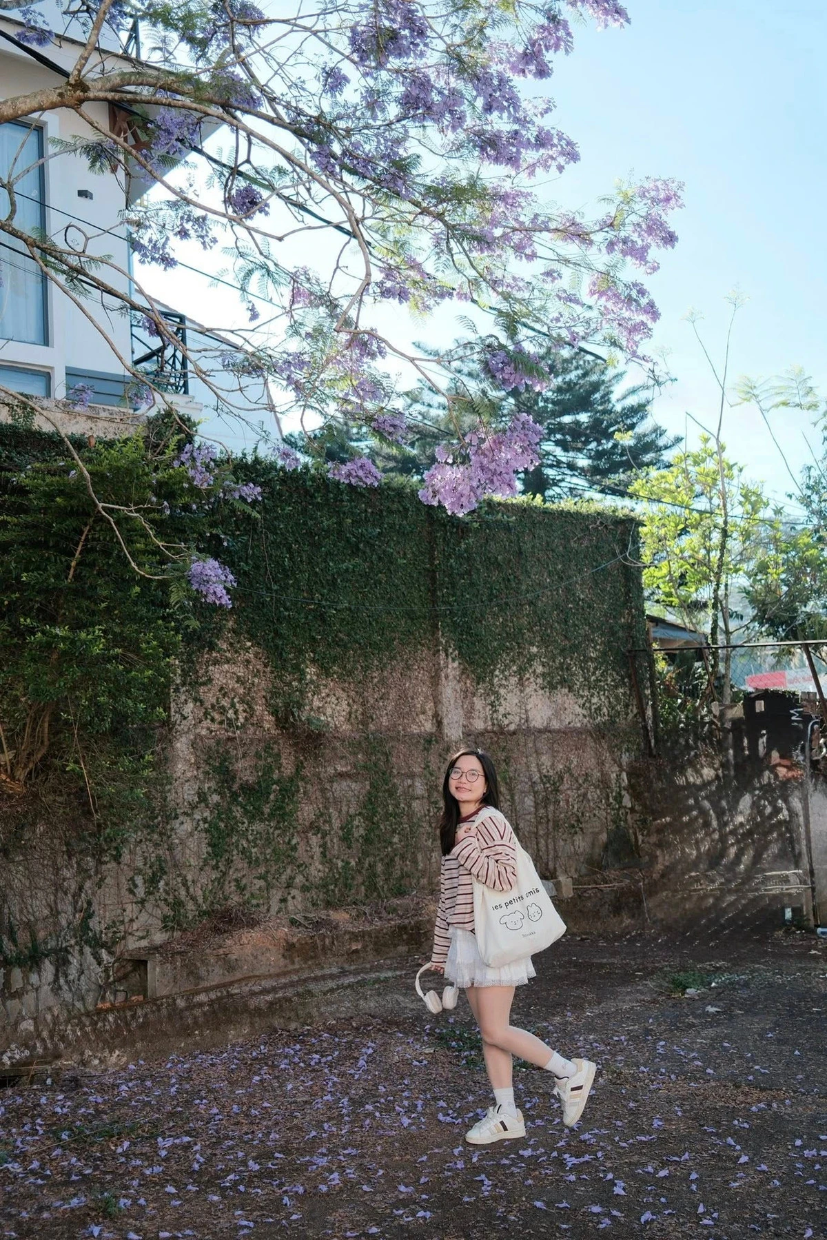 Đà Lạt khoác áo tím, du khách rủ nhau săn mùa hoa lãng mạn nhất năm - Hình 9