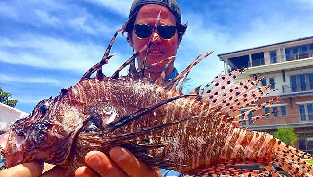 Cá sư tử càn quét đại dương, giới khoa học khuyên ăn là cách cứu hệ sinh thái - Hình 4