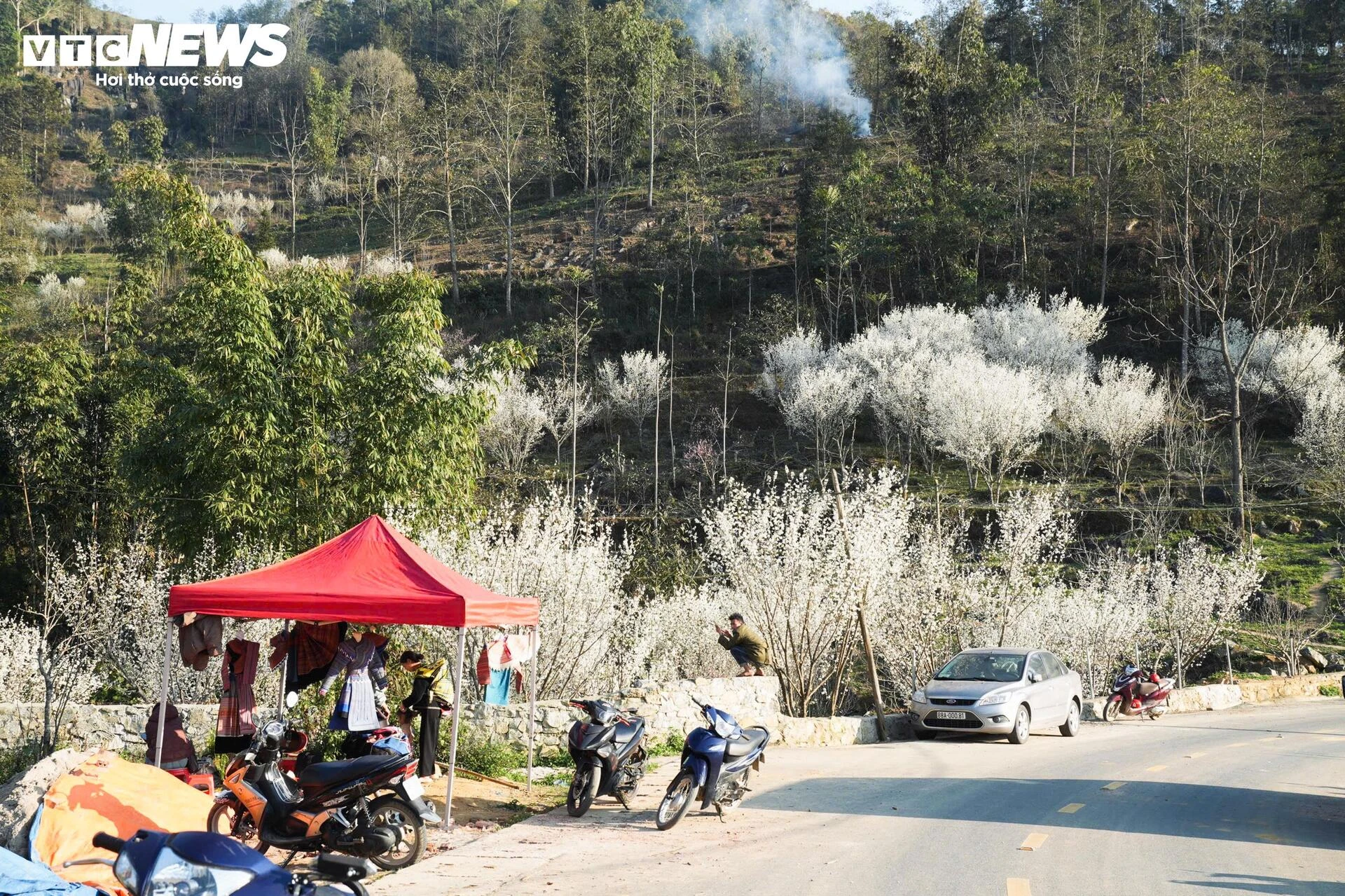 Núi rừng Lào Cai phủ trắng sắc hoa mận cuối tháng 2 - Hình 12