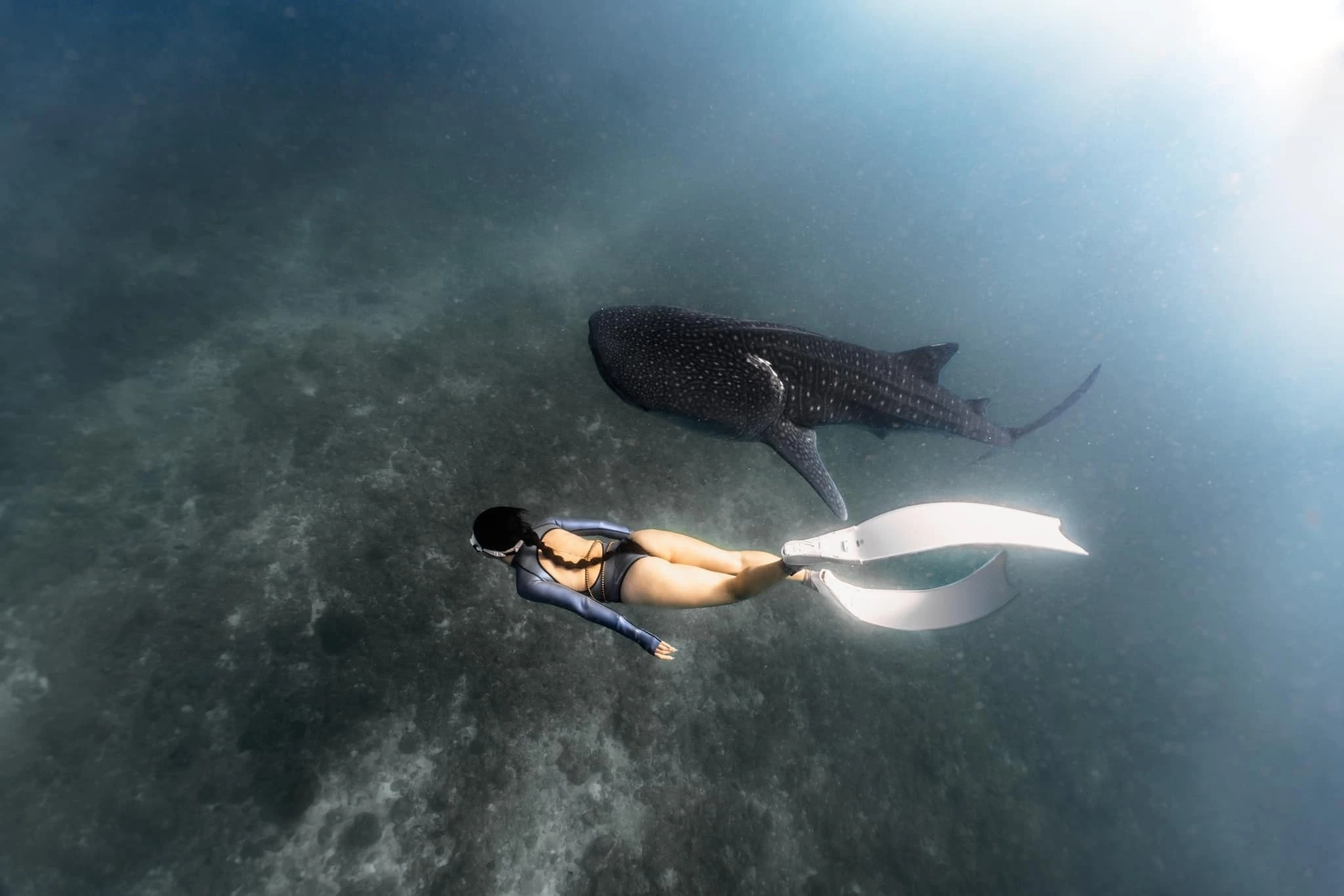 Nàng tiên cá tập gym, tập thở khắc nghiệt cho 25 phút biểu diễn - Hình 2