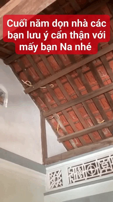 Dọn nhà đón Tết, gia chủ lạnh sống lưng khi nhìn thấy cảnh tượng trên mái nhà: Có thể là ám ảnh tới già - Hình 2