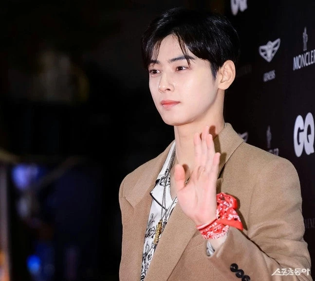 20 tỷ won tiền thuế của Cha Eun Woo hé lộ thu nhập khủng của sao Hàn - Hình 1
