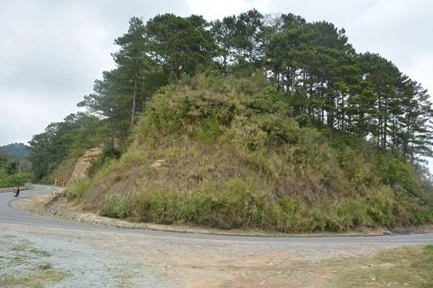Đầu xuân du ngoạn qua cung đèo bác sĩ Alexandre Yersin từng đi - Hình 4