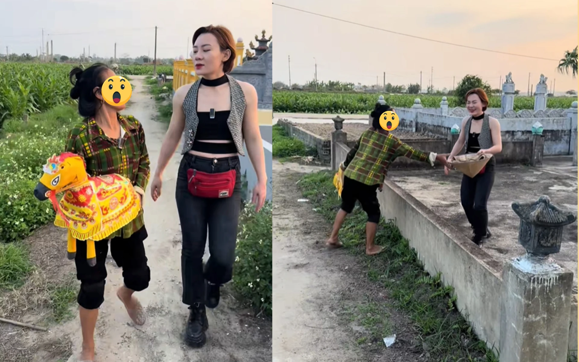 Đóng giả khách Hàn đòi bà cô dẫn đi khám phá nghĩa trang, diễn biến sau đó hút 10 triệu lượt xem - Hình 3