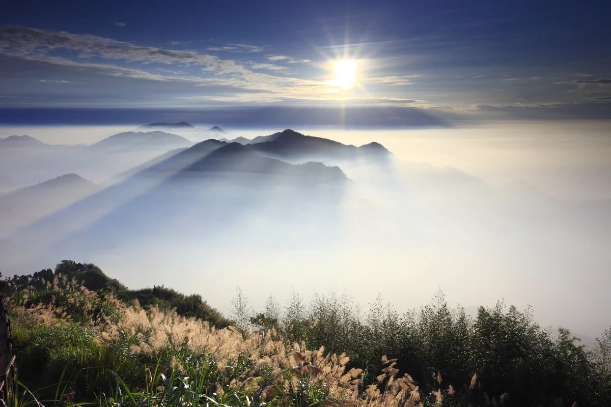 Du xuân Alishan - Lạc giữa biển mây và rừng cổ thụ của Đài Loan - Hình 8