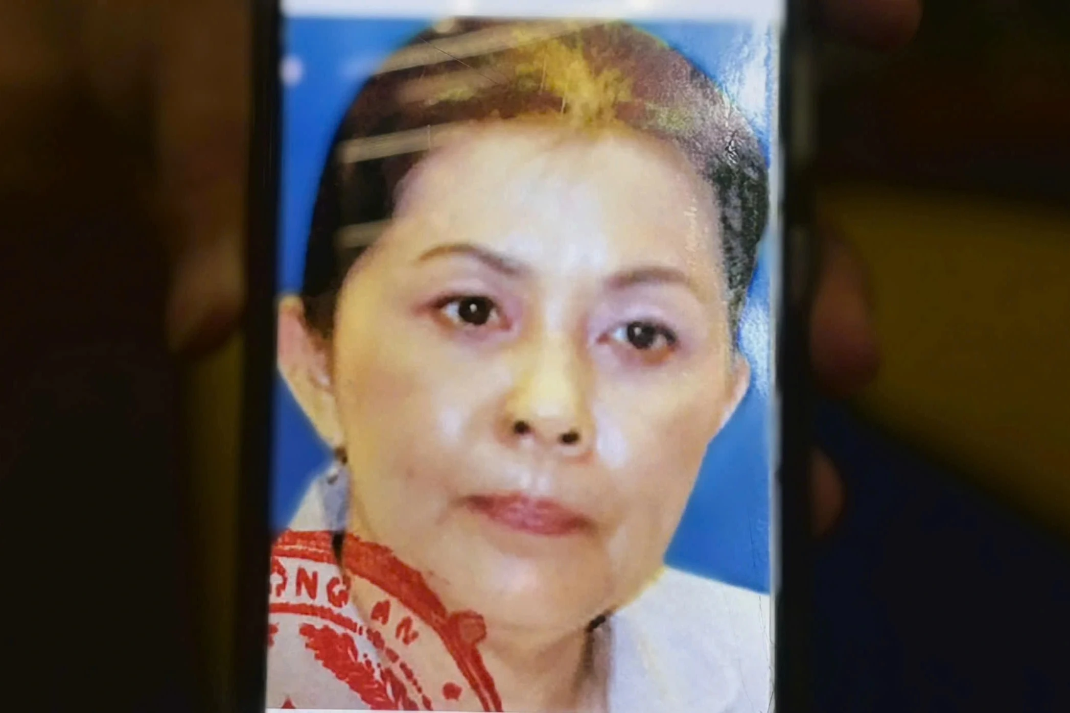 Kêu gọi cựu Giám đốc Sở Tài chính TPHCM Đào Thị Hương Lan ra đầu thú - Hình 1