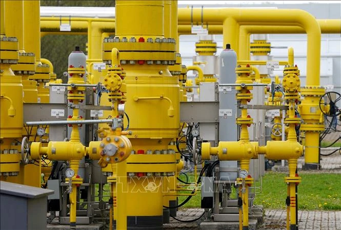 Châu Âu và Nhật Bản sẵn sàng phối hợp bình ổn giá năng lượng và bảo vệ điểm nghẽn dầu mỏ - Hình 3