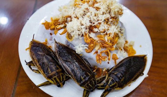 Điều đặc biệt ở bánh cuốn Thanh Trì vừa được ghi danh Di sản văn hóa phi vật thể quốc gia, thử ngay cách làm tại nhà - Hình 3