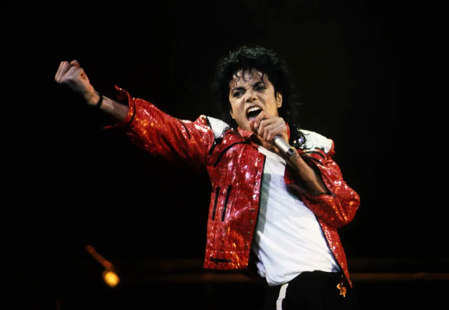 Michael Jackson tiếp tục bị cáo buộc thao túng và xâm hại trẻ em - Hình 2