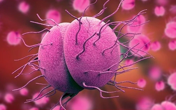 Ghi nhận ca tử vong do não mô cầu, Cà Mau tăng cường công tác phòng, chống dịch - Hình 1