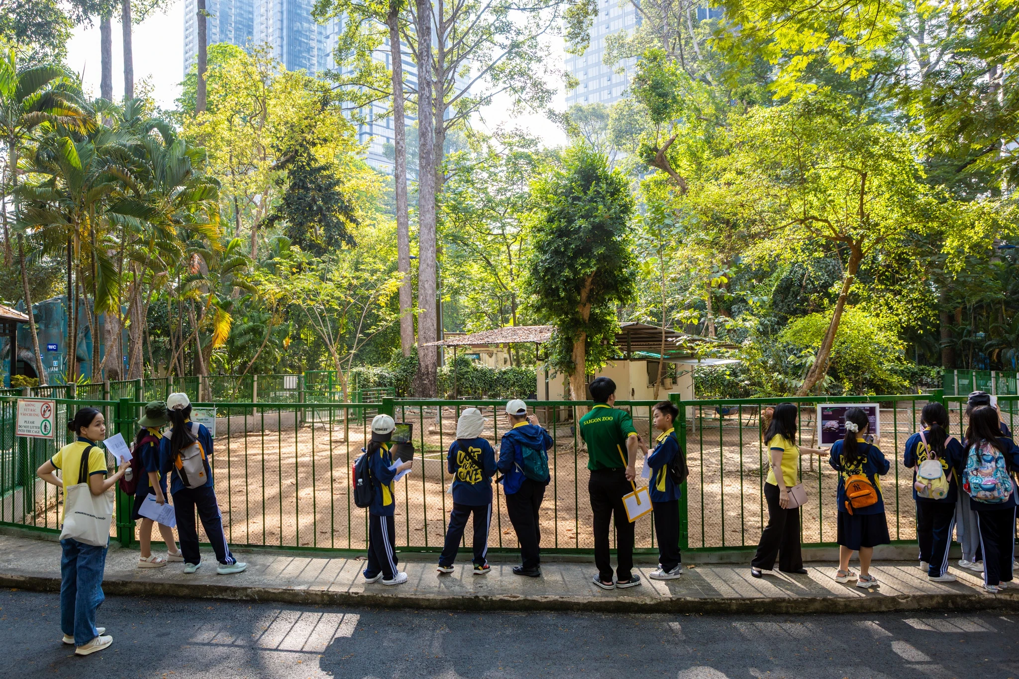 Ngựa lùn Cacao 1 tháng tuổi ở Thảo Cầm Viên chưa hết hot - Hình 3