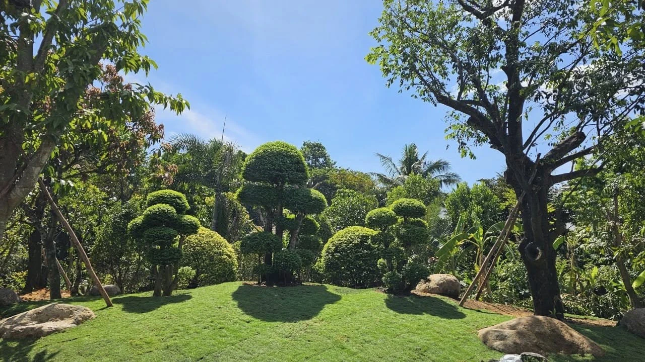 Đệ nhất mỹ nhân Việt Trinh ở tuổi 54: Nhiều người bảo Trinh sao giờ mập thù lù, kêu Trinh nói xạo - Hình 5