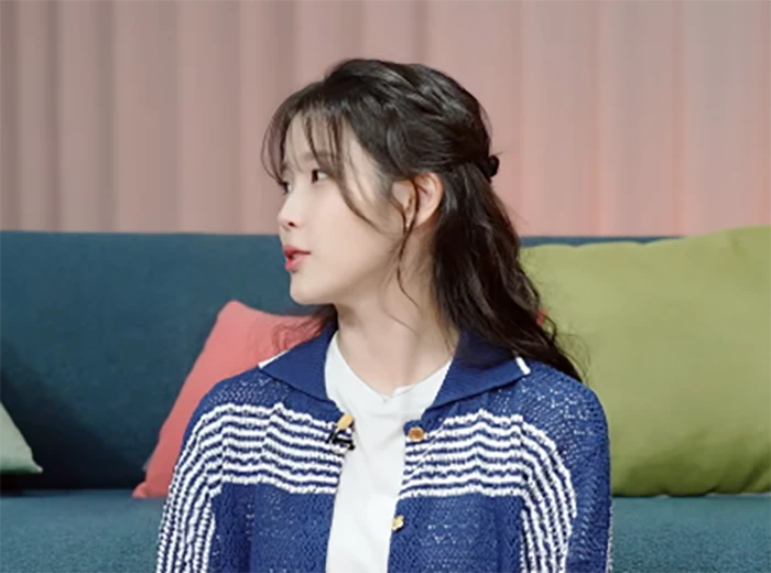 Lý do khiến IU tự bỏ tiền túi để đi xem concert - Hình 1