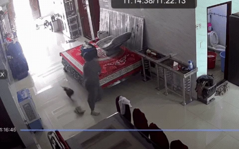 43 triệu người nín thở vì 1 chuyện diễn ra trong nhà Lê Dương Bảo Lâm, hàng xóm phải kéo đến xem hiện trường - Hình 2