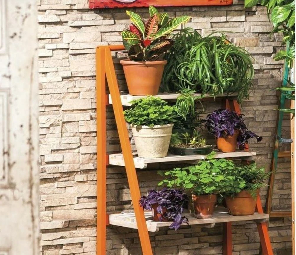 Nhà chật vẫn thích trồng cây? Đừng phạm 5 sai lầm này - Hình 4