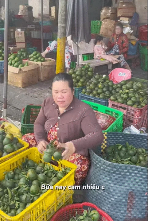 Gia đình 4 người rời Hà Nội vào miền Tây: Có lúc trắng tay sau 2 lần làm ăn thất bại, giờ đã mua được nhà riêng - Hình 10