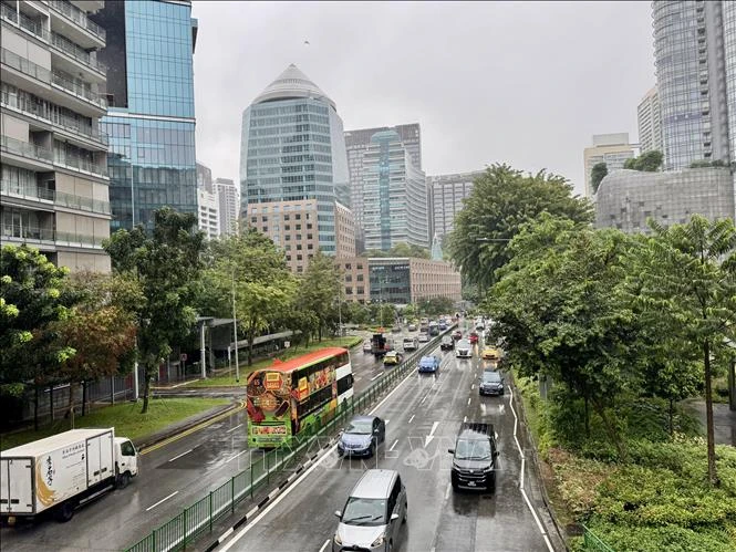 Singapore: Giá nhiêu liệu cao gia tăng áp lực lên đời sống xã hội - Hình 1