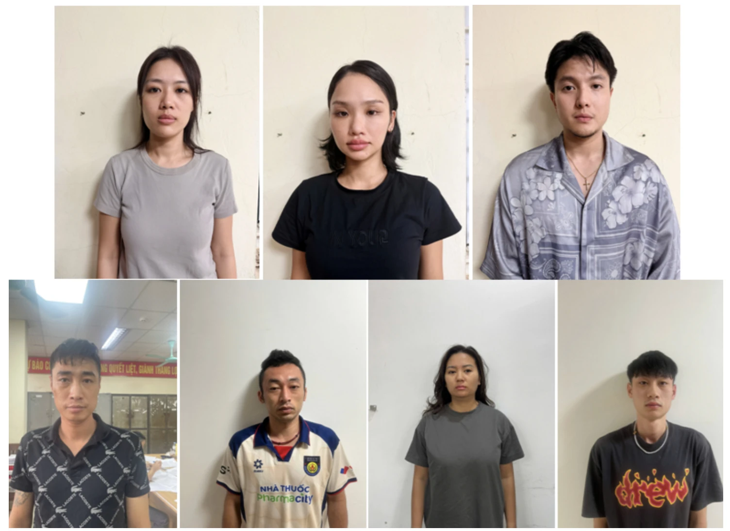 Vì sao Miu Lê bị khởi tố? - Hình 1