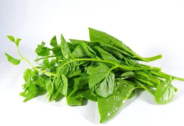 Lá này canxi gấp 2 lần sữa được ví là thứ rau vua, mùa hè đang bán đầy, 10.000đ/mớ xào nấu đều ngon - Hình 1