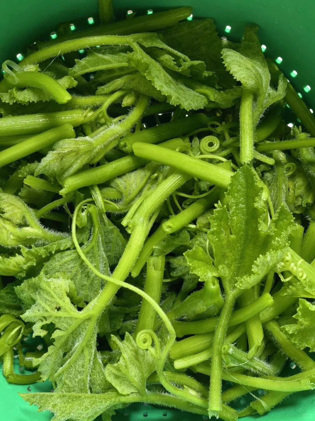 Quên salad đắt đỏ đi, mớ rau vài nghìn đồng ngoài chợ này mới là chổi quét mỡ đỉnh nhất mùa xuân! - Hình 5