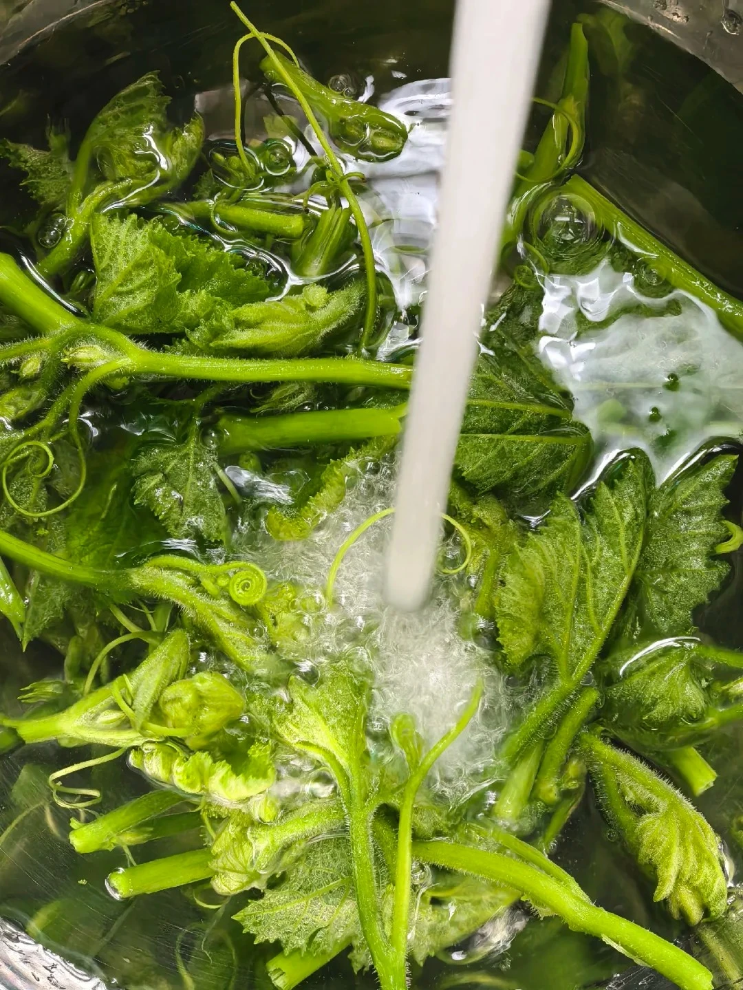 Quên salad đắt đỏ đi, mớ rau vài nghìn đồng ngoài chợ này mới là chổi quét mỡ đỉnh nhất mùa xuân! - Hình 4