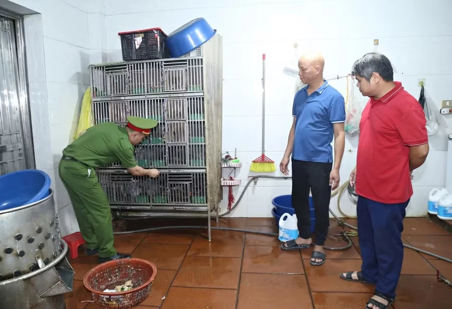 Bắc Ninh khởi tố 3 vụ án liên quan động vật hoang dã, thu giữ xương hổ - Hình 3